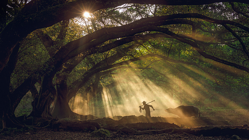 Travel & Nature Videography